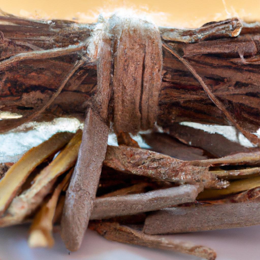 El árbol De La Quina, Originario De América Del Sur, Contiene Quinina, Un Compuesto Utilizado En El Tratamiento De La Malaria.