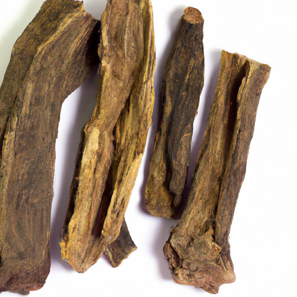 El árbol De Palo Santo Es Nativo De América Del Sur Y Se Utiliza En La Fabricación De Productos De Incienso Y Aceites Esenciales.