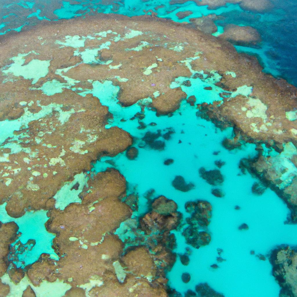 El Arrecife De Coral De Ningaloo En Australia Es Famoso Por Ser Uno De Los Pocos Lugares En El Mundo Donde Se Puede Nadar Junto A Tiburones Ballena, Mantarrayas Y Otros Animales Marinos.