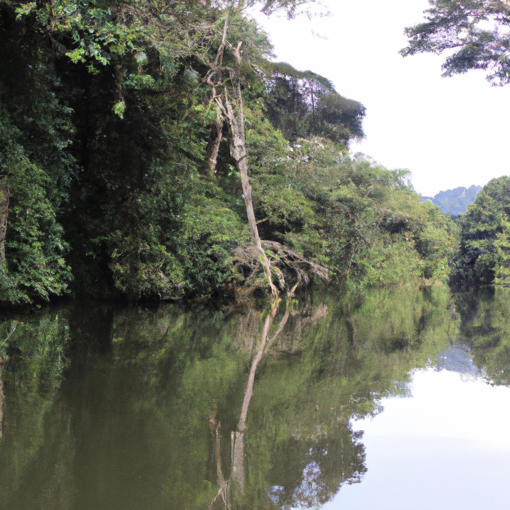 El Bosque De La Amazonía Es El Bosque Lluvioso Más Grande Del Mundo.