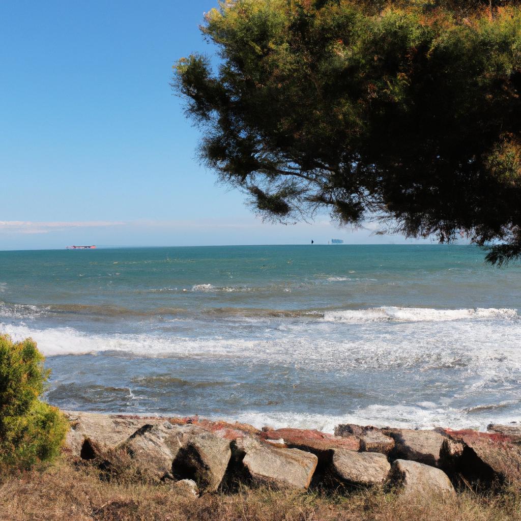 El Clima Marítimo Se Caracteriza Por Temperaturas Moderadas Y Condiciones Húmedas Debido A La Influencia Del Océano. Se Encuentra En Regiones Costeras Y Está Influenciado Por Las Corrientes Marinas.