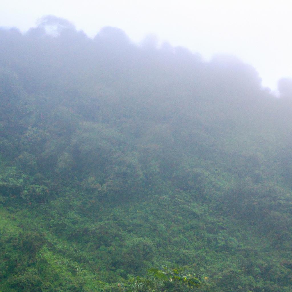 El Clima Tropical Lluvioso Se Caracteriza Por Altas Temperaturas Y Una Alta Humedad Durante Todo El Año, Junto Con Fuertes Precipitaciones. Se Encuentra En Regiones Ecuatoriales.