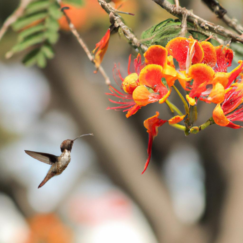 El Colibrí De Abeja Puede Batir Sus Alas Hasta 80 Veces Por Segundo.