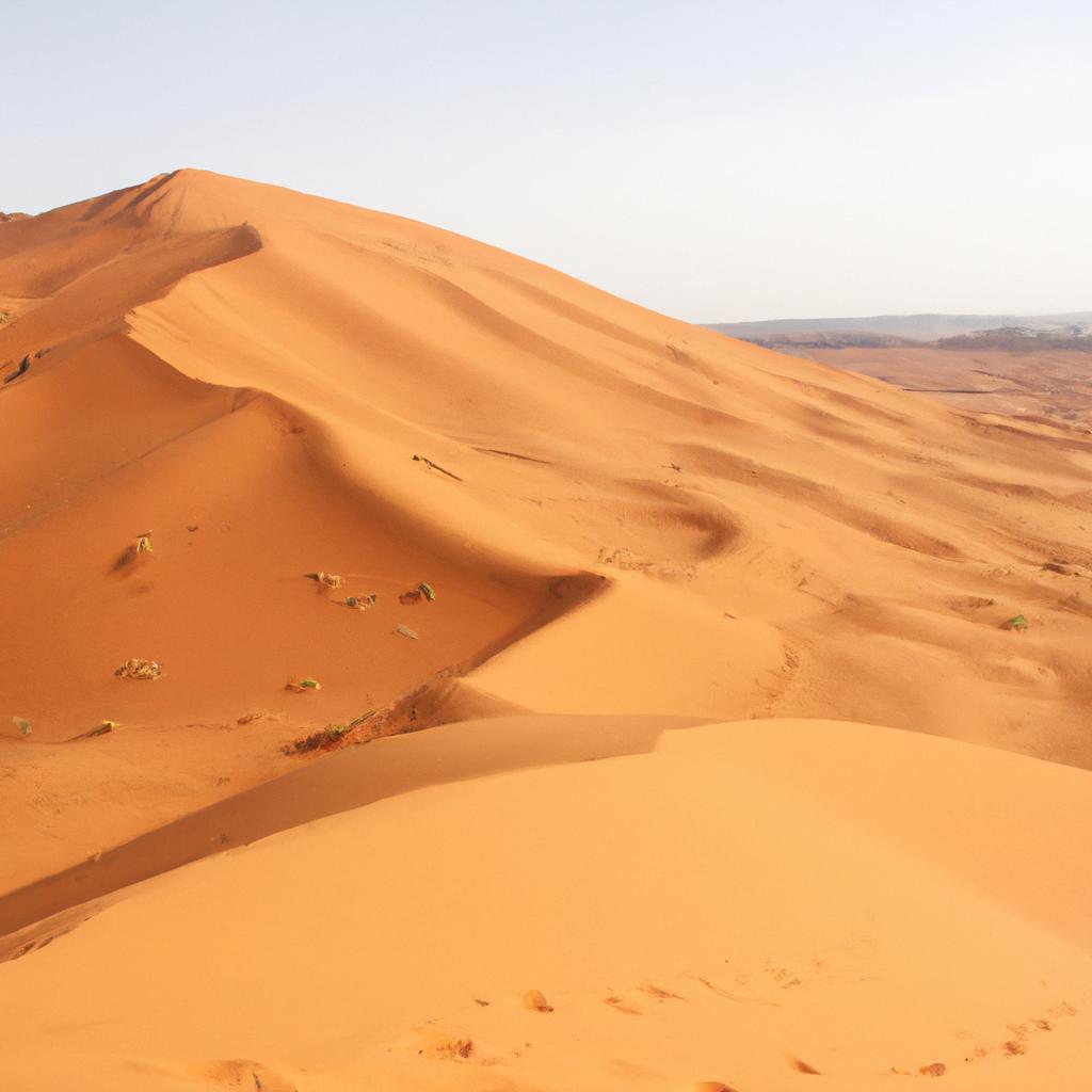 El Desierto Del Sahara En África Es El Desierto Caliente Más Grande Del Mundo Y Abarca Una Superficie De Aproximadamente 9.2 Millones De Kilómetros Cuadrados.