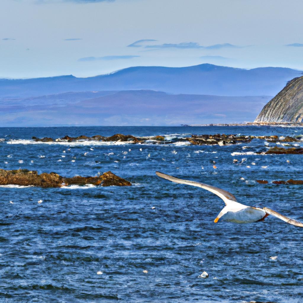 El Estrecho De Bering Separa Rusia Y Alaska, Y Es Una Ruta Migratoria Importante Para Muchas Especies.