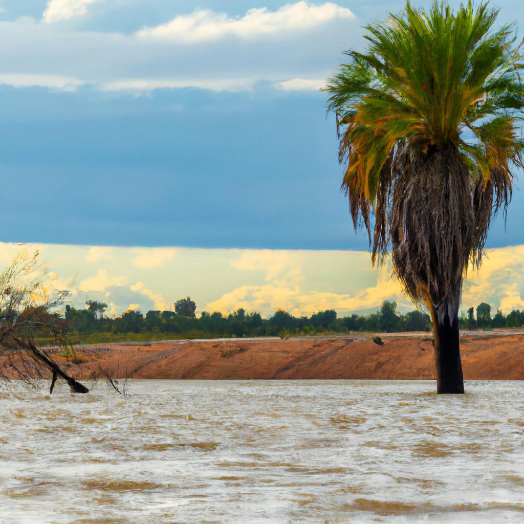 El Fenómeno De El Niño-Oscilación Del Sur (ENOS) Es Un Ciclo Climático Natural Que Ocurre En El Océano Pacífico Y Puede Tener Impactos Significativos En El Clima Global, Como Sequías O Inundaciones.