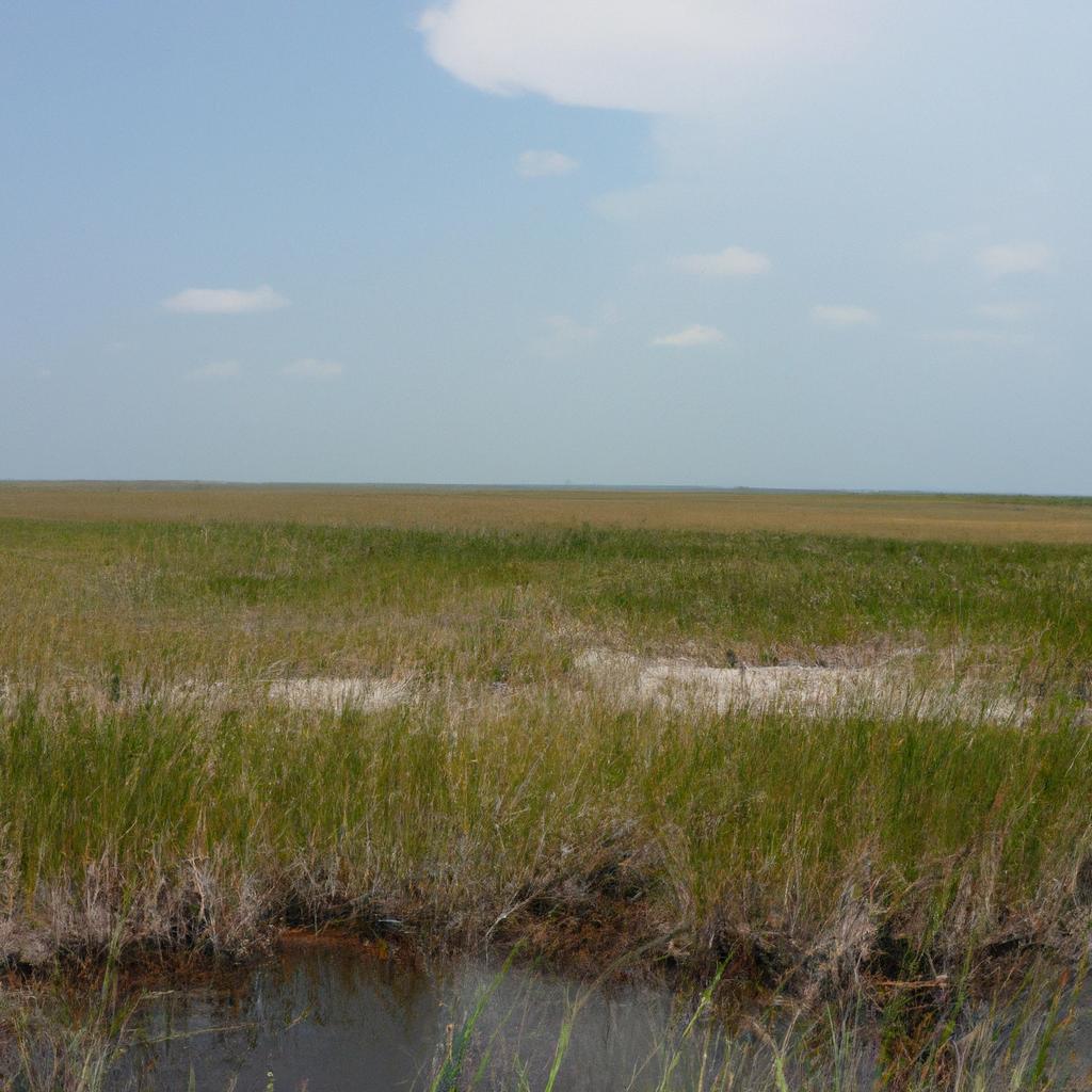 El Parque Nacional De Los Everglades En Florida, EE.UU., Es El Mayor Hábitat Subtropical En Los Estados Unidos.