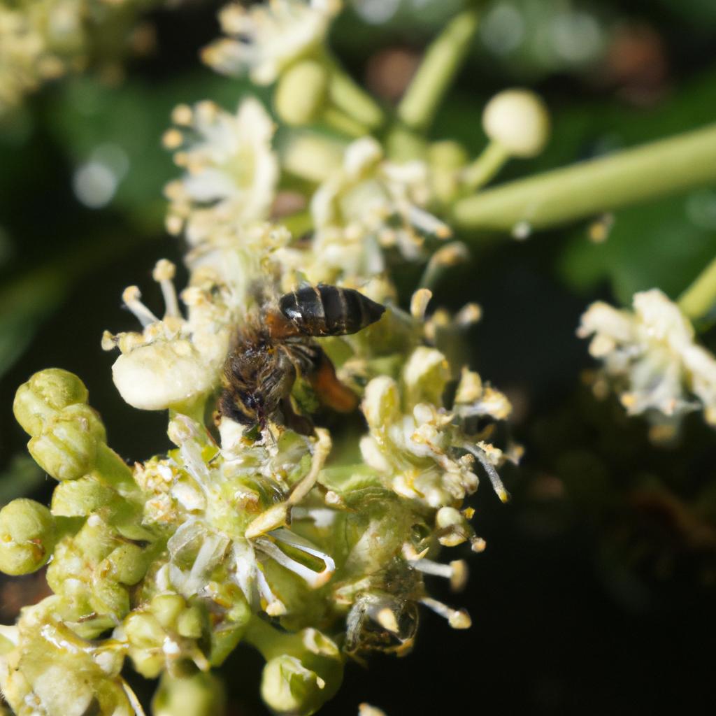 El Veneno De La Abeja Contiene Propiedades Antimicrobianas Y Analgésicas Que Se Han Utilizado En La Medicina Tradicional.