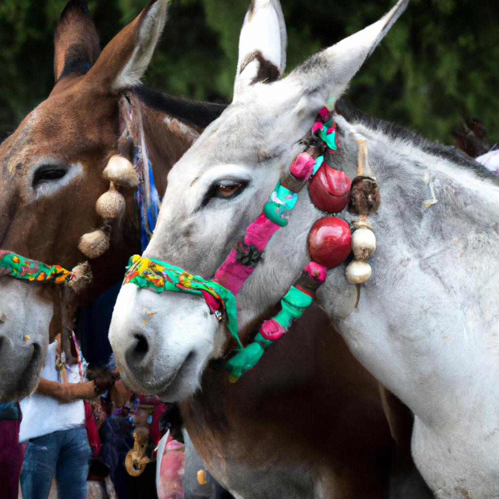 En Costa Rica, El Festival De Las Mulas En Parrita Celebra La Importancia De Las Mulas En La Historia Del País.