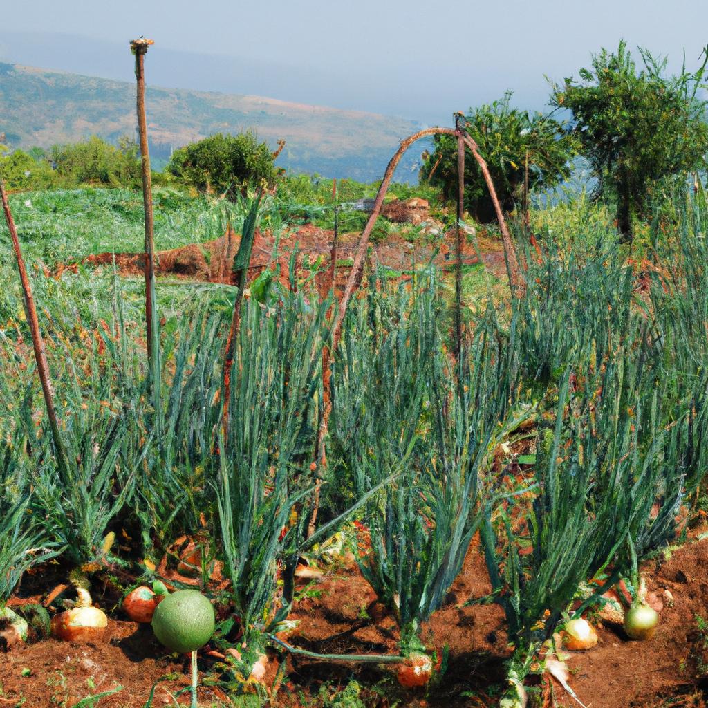 La Adopción De Prácticas Agrícolas Sostenibles, Como La Agroforestería Y La Rotación De Cultivos, Puede Ayudar A Conservar La Biodiversidad Y Promover La Salud Del Suelo.