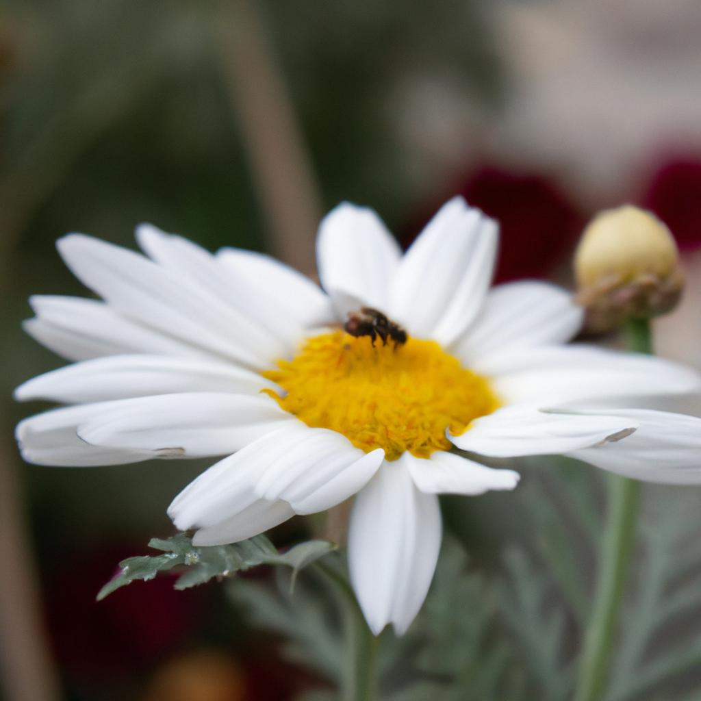 La Conservación De Las Abejas Y Otros Polinizadores Es Crucial Para La Seguridad Alimentaria Global, Ya Que Muchas De Nuestras Principales Fuentes De Alimentos Dependen De La Polinización.