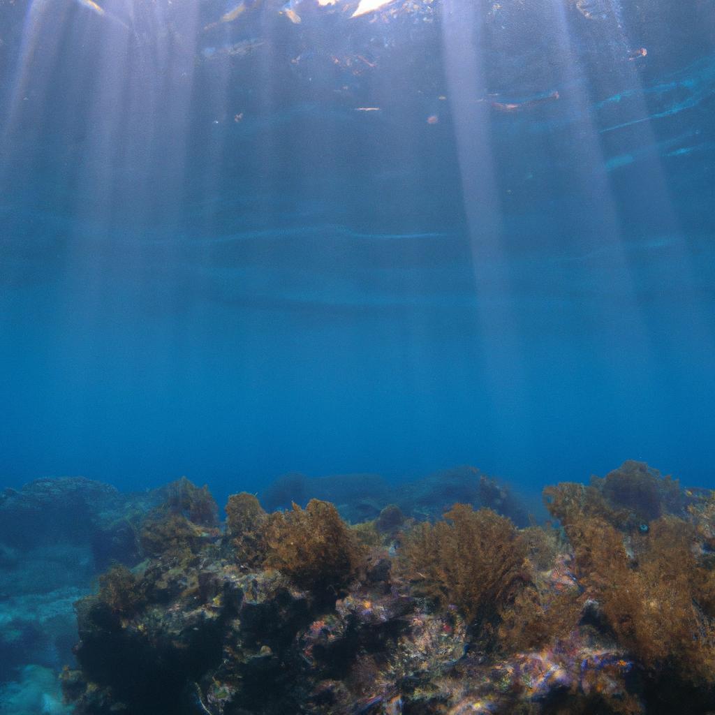 La Conservación De Los Arrecifes De Coral No Solo Protege La Biodiversidad Marina, Sino Que También Ayuda A Mantener La Economía Local A Través Del Turismo Y La Pesca Sostenible.