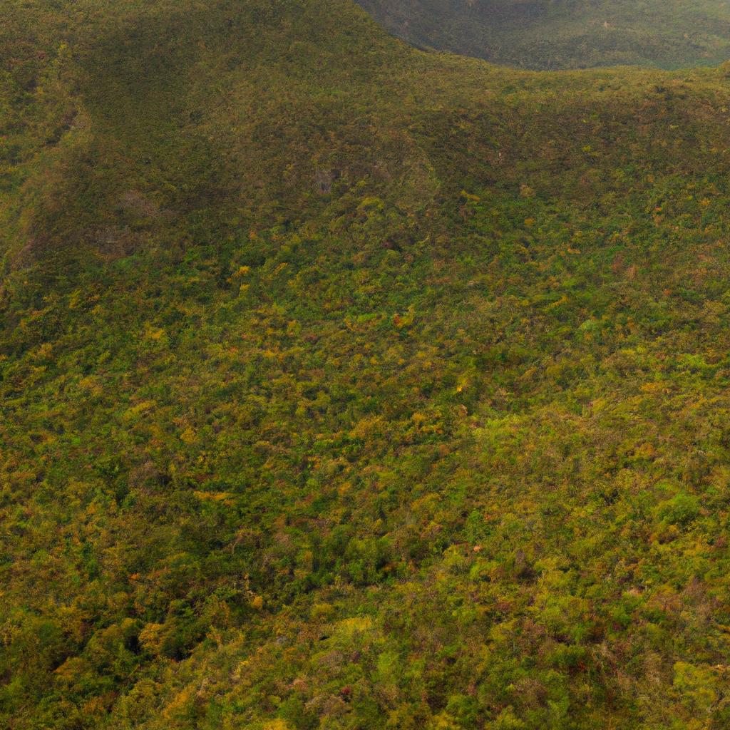 La Conservación De Los Bosques Tropicales, Que Albergan Una Gran Biodiversidad Y Almacenan Grandes Cantidades De Carbono, Es Esencial Para Mitigar El Cambio Climático Y Preservar Los Servicios Ecosistémicos.