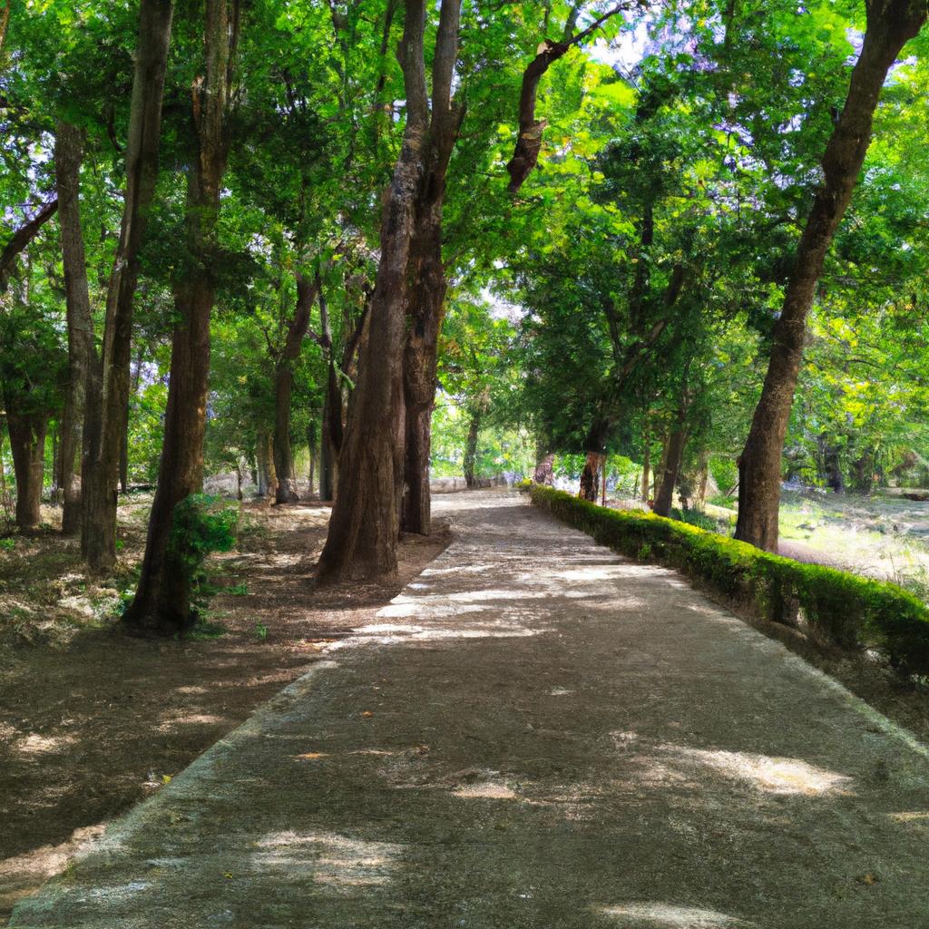 La Conservación De Los Bosques Urbanos Contribuye A Mejorar La Calidad Del Aire, Regular La Temperatura Y Proporcionar Hábitats Para La Fauna Y La Flora En Entornos Urbanos.