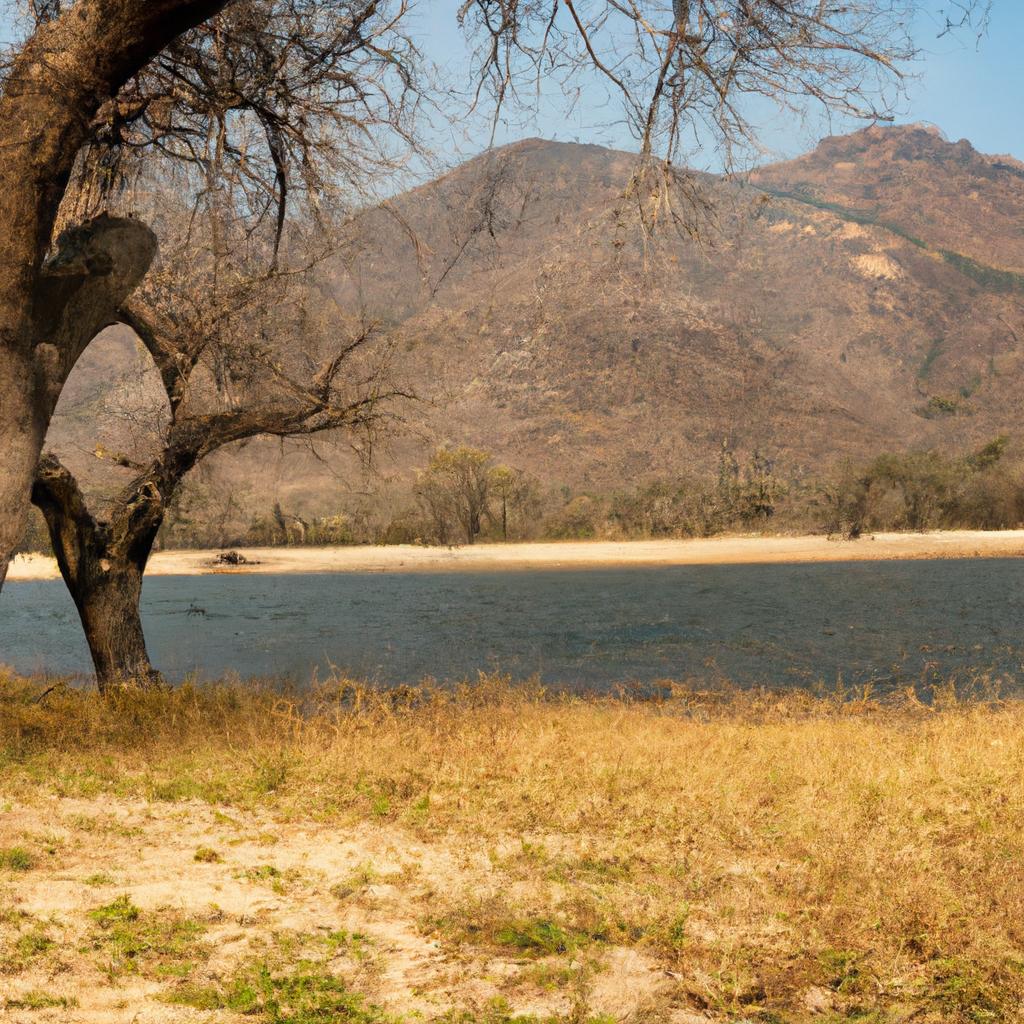 La Conservación De Los Ecosistemas De Agua Dulce, Como Los Ríos Y Los Lagos, Es Crucial Para Preservar La Biodiversidad Acuática, Regular El Ciclo Del Agua Y Proporcionar Hábitats Para Muchas Especies.