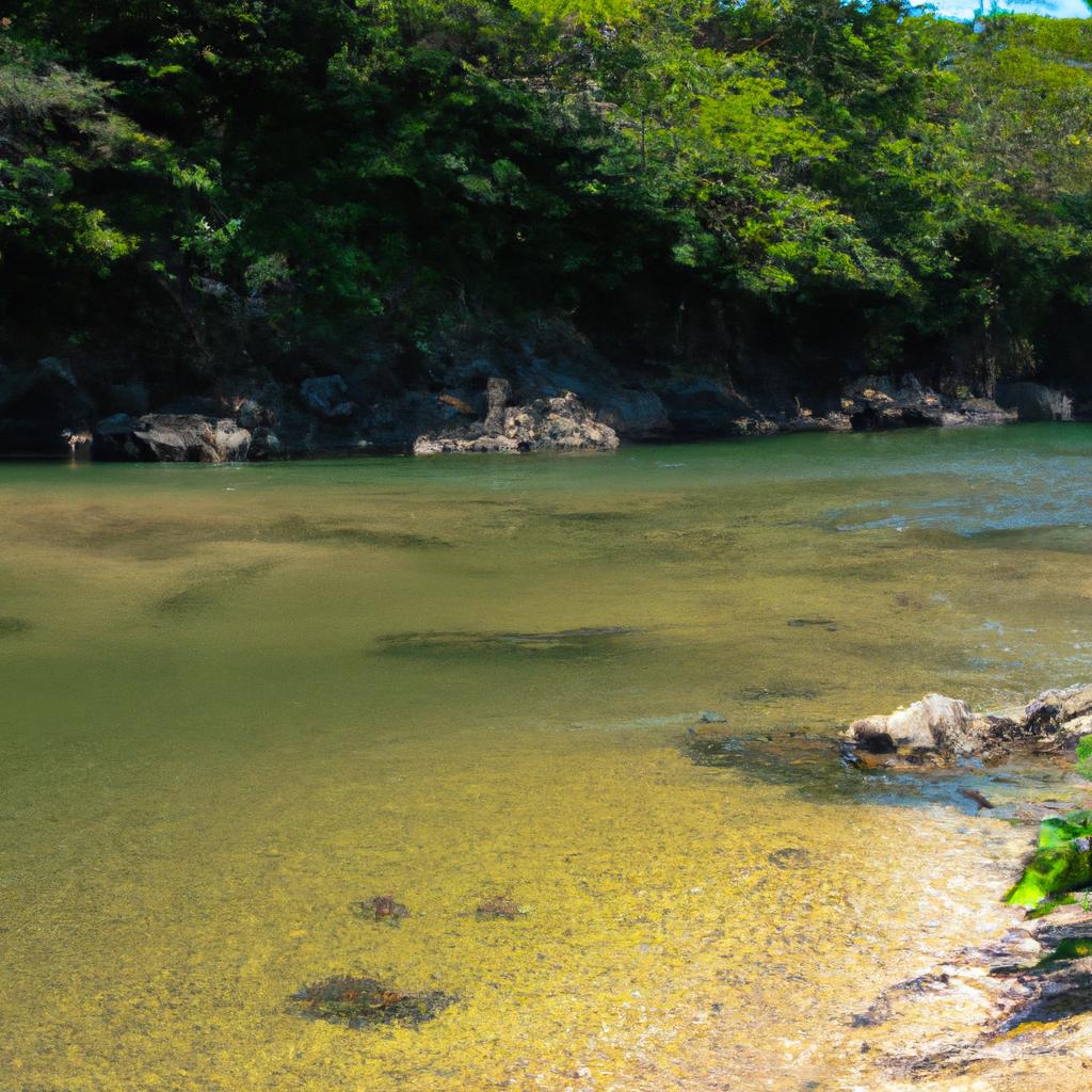 La Conservación De Los Ecosistemas De Agua Dulce, Como Los Ríos Y Los Lagos, Es Esencial Para Garantizar El Suministro De Agua Potable Y Preservar La Biodiversidad Acuática.