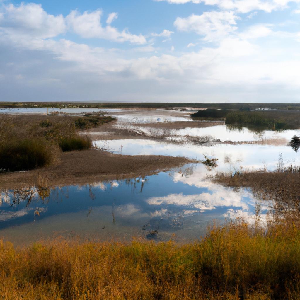 La Conservación De Los Ecosistemas De Estuarios Y Deltas Es Fundamental Para La Biodiversidad, La Protección Contra Inundaciones Y La Conservación De Los Recursos Marinos.