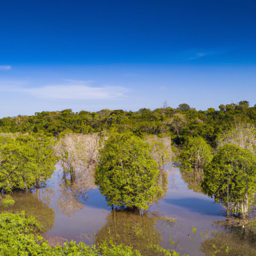 La Conservación De Los Humedales Contribuye A La Regulación Del Ciclo Del Agua, La Protección De La Biodiversidad Y La Mitigación Del Cambio Climático, Ya Que Estos Ecosistemas Almacenan Grandes Cantidades De Carbono.