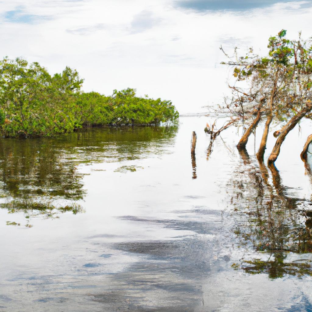 La Conservación De Los Manglares Contribuye A La Protección De Las Costas Contra Las Tormentas, La Prevención De La Erosión Y La Conservación De La Biodiversidad Marina.