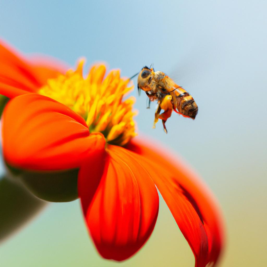 La Conservación De Los Polinizadores, Como Las Abejas Y Los Colibríes, Es Fundamental Para La Polinización De Plantas Y Cultivos, Lo Cual Contribuye A La Producción De Alimentos.