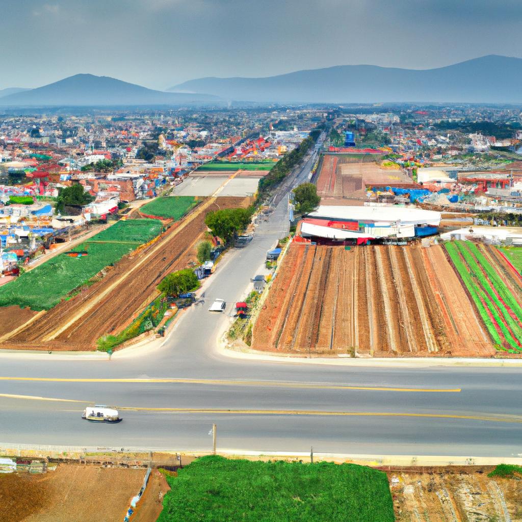 La Construcción De Carreteras Y La Urbanización Pueden Fragmentar Los Hábitats Naturales Y Afectar La Migración De Las Especies.