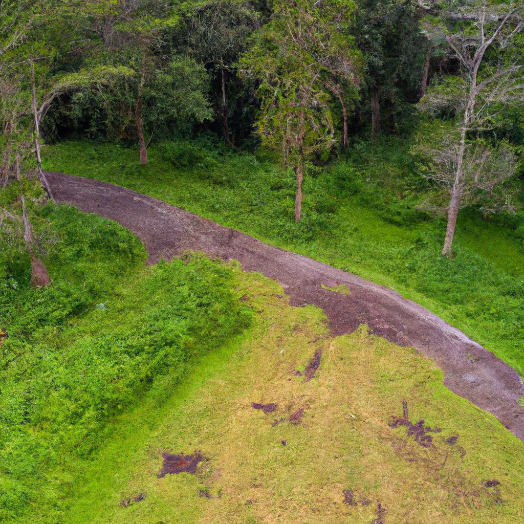 La Implementación De Prácticas De Gestión Forestal Sostenible, Como La Certificación Forestal, Ayuda A Promover La Conservación De Los Bosques Y El Uso Responsable De Sus Recursos.