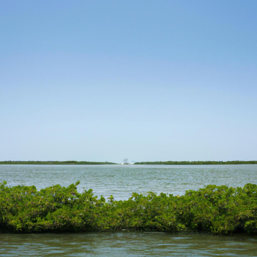 La Protección De Los Hábitats Acuáticos, Como Los Manglares Y Los Arrecifes De Coral, Es Fundamental Para La Conservación De La Biodiversidad Marina Y La Protección De Las Especies En Peligro De Extinción.