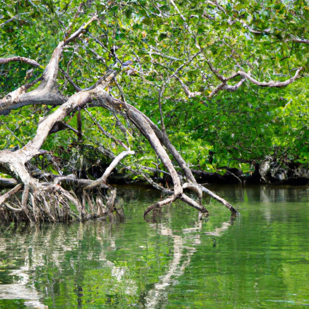 La Protección De Los Manglares Es Importante Para La Conservación De La Biodiversidad, La Protección Contra Inundaciones Y La Mitigación Del Cambio Climático, Ya Que Almacenan Grandes Cantidades De Carbono.