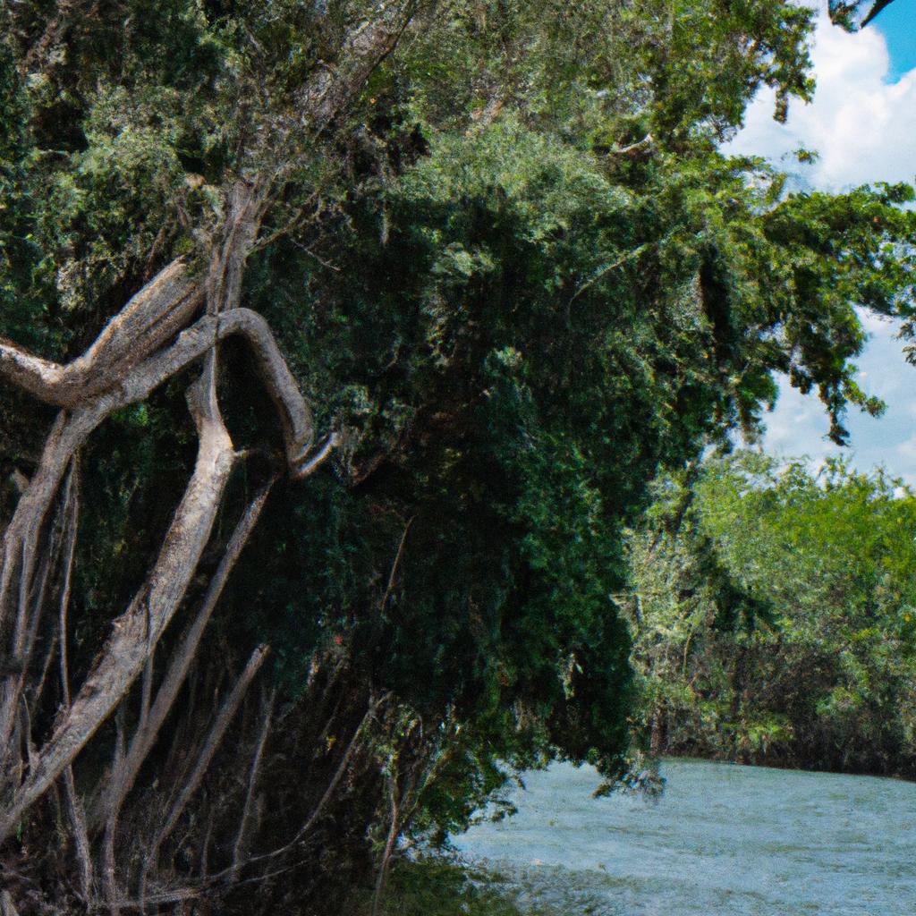 La Protección De Los Manglares Y Los Bosques De Ribera Es Esencial Para La Conservación De Los Ecosistemas De Agua Dulce, Ya Que Brindan Hábitats Vitales Para Muchas Especies Acuáticas.