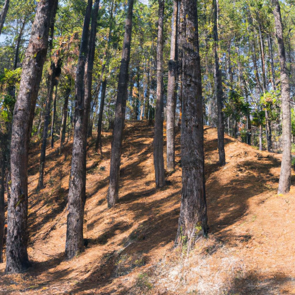 La Reforestación Y La Restauración De Ecosistemas Degradados Son Estrategias Clave Para Conservar La Biodiversidad Y Mitigar El Cambio Climático.