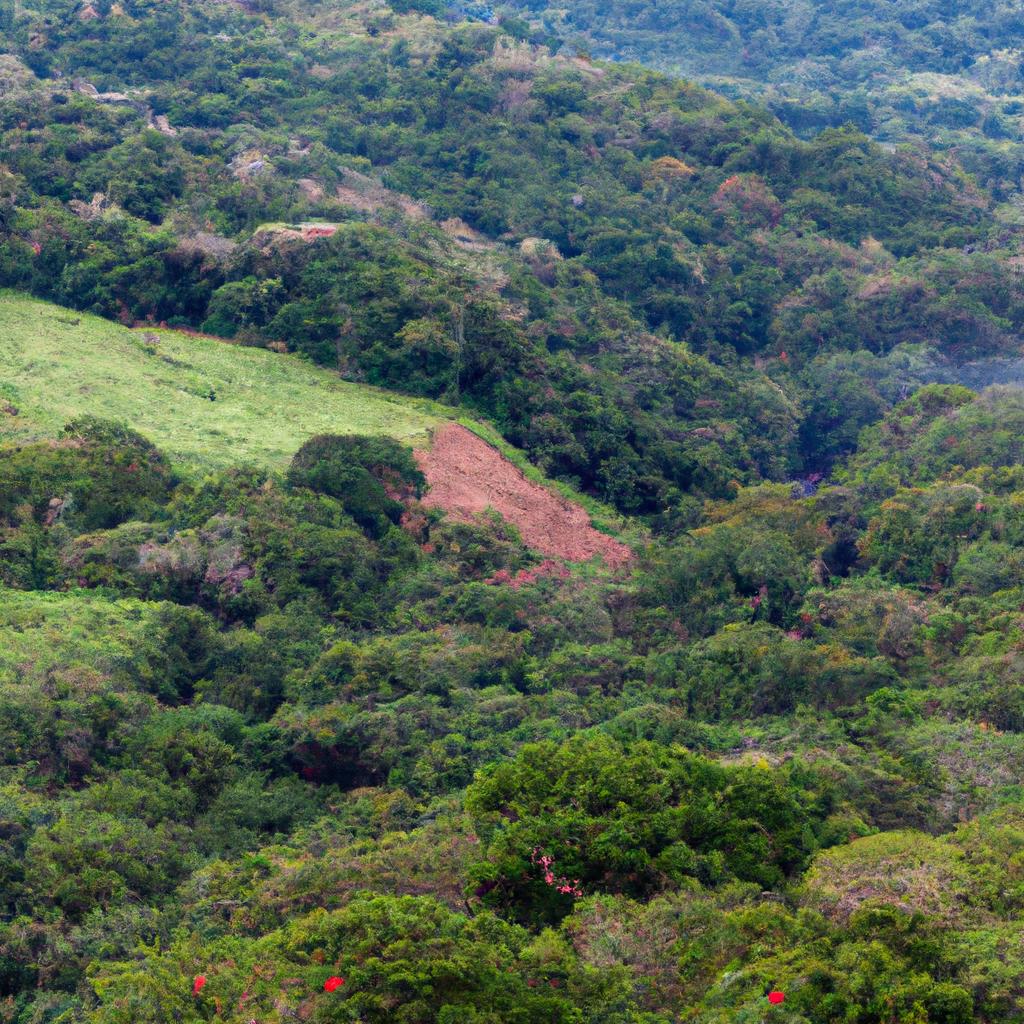 La Restauración De Ecosistemas Degradados Es Una Estrategia Efectiva Para Aumentar La Biodiversidad Y Restaurar Los Servicios Ecosistémicos Perdidos.