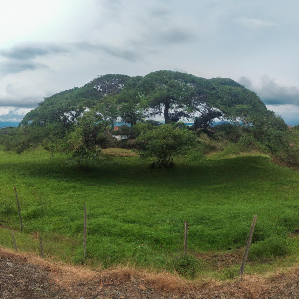 La Teleconexión De Madden-Julian (MJO) Es Un Patrón De Variabilidad Climática Tropical Que Se Caracteriza Por La Propagación De Una Región De Convección Activa Alrededor Del Ecuador.