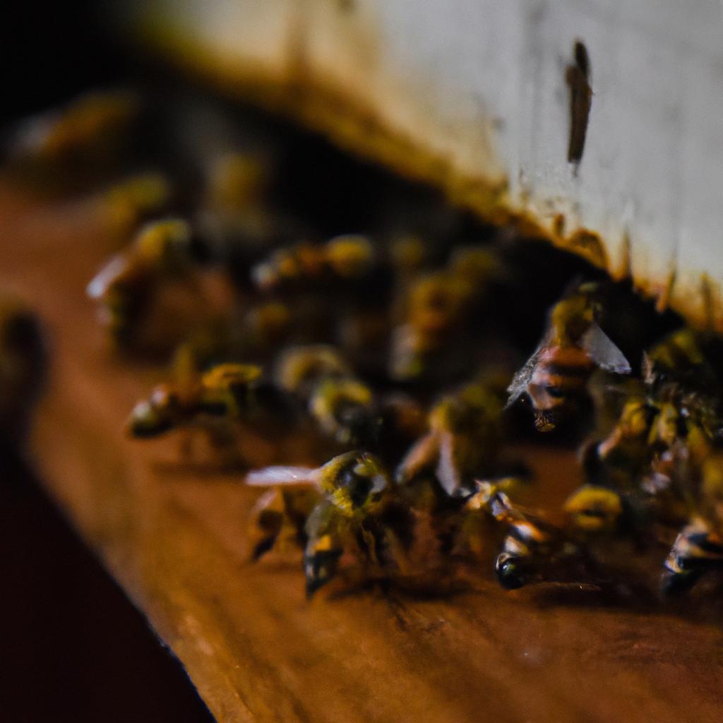 Las Abejas Pueden Reconocer Patrones Y Formas Y Son Capaces De Aprender Y Recordar Rutas Complejas.