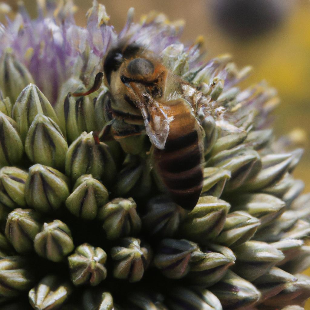 Las Abejas Pueden Reconocer Y Recordar Colores Y Formas Específicas.