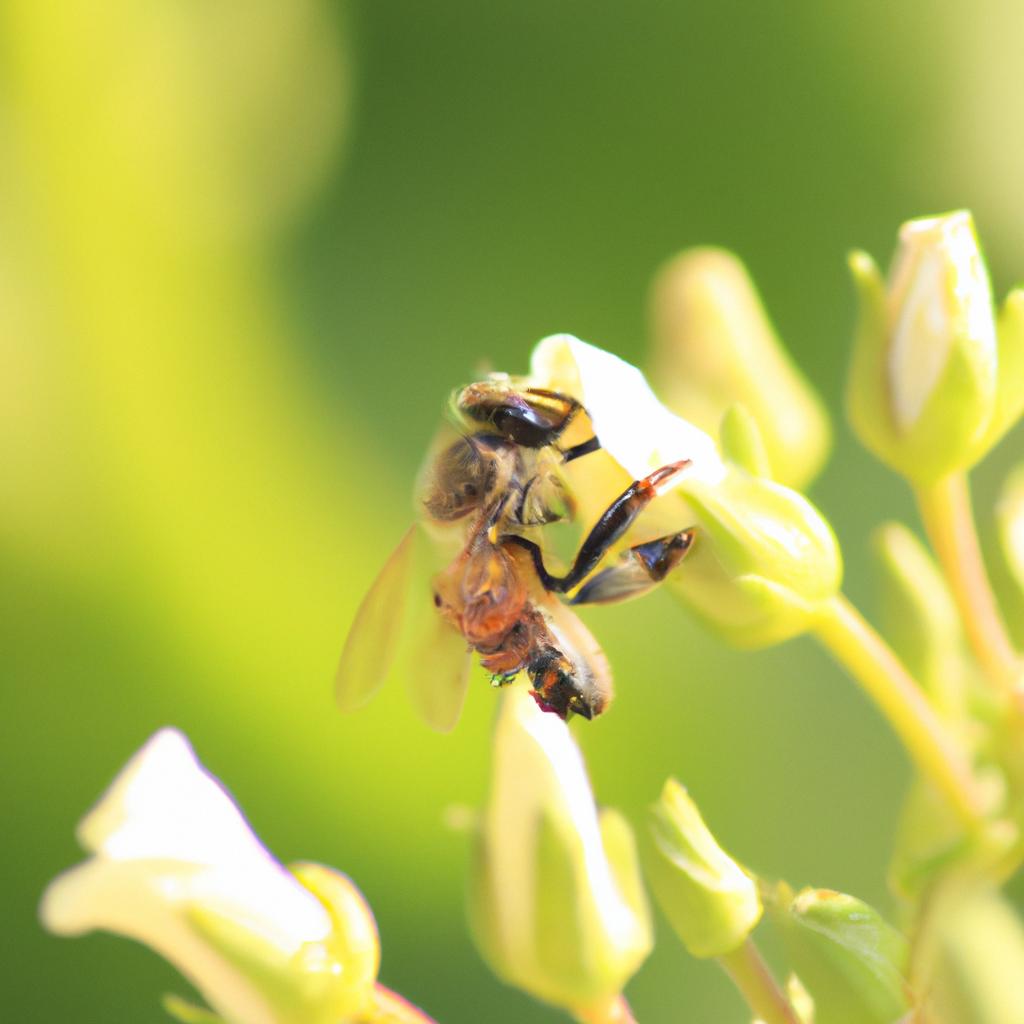 Las Abejas Pueden Reconocer Y Recordar Patrones Y Colores Específicos, Lo Que Les Ayuda A Encontrar Flores Y Volver A Su Colmena.