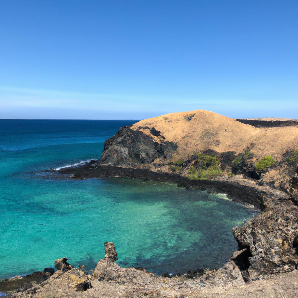 Las Islas Galápagos, En Ecuador, Son Conocidas Por Su Diversidad Biológica única Y Por Ser El Lugar Donde Charles Darwin Desarrolló Su Teoría De La Evolución.