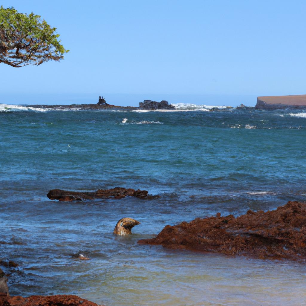 Las Islas Galápagos, En Ecuador, Son Conocidas Por Su Diversidad Biológica Y Por Haber Inspirado Las Teorías De Charles Darwin Sobre La Evolución Y La Selección Natural.