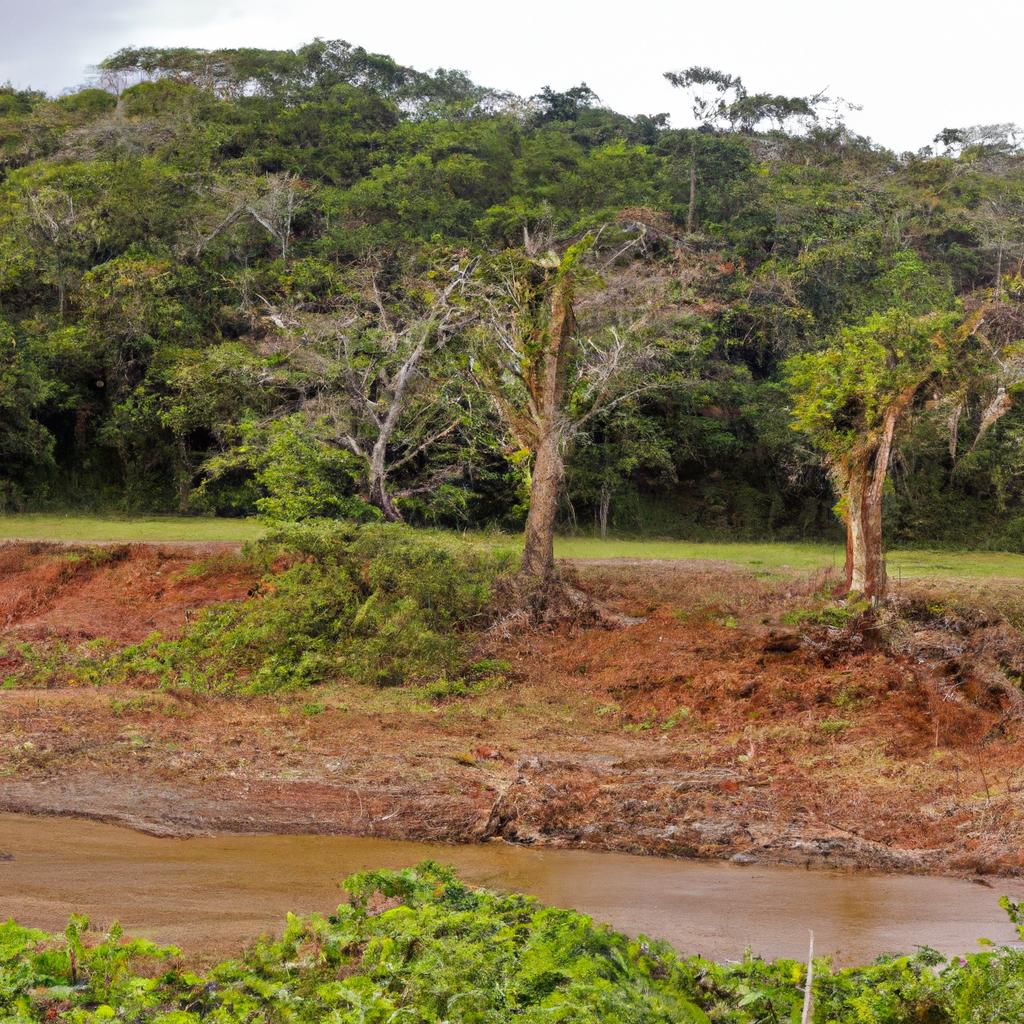 Los Cambios En El Clima Pueden Afectar La Disponibilidad De Recursos Hídricos, Como La Cantidad De Agua En Los Ríos, Lagos Y Acuíferos, Lo Que Puede Tener Implicaciones Para La Agricultura Y El Abastecimiento De Agua Potable.