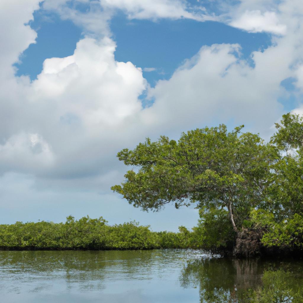 Los Manglares Son Ecosistemas Costeros Que Brindan Protección Contra Inundaciones Y Actúan Como Viveros Para Muchas Especies Marinas.