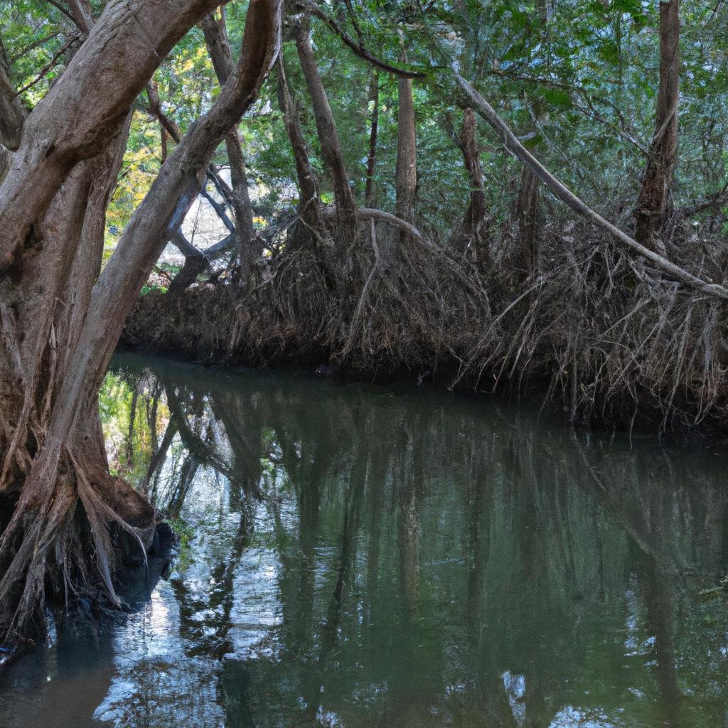 Los Manglares Son Ecosistemas Costeros Que Se Encuentran En Regiones Tropicales Y Subtropicales, Y Desempeñan Un Papel Crucial En La Protección De Las Costas Contra Inundaciones Y En La Conservación De La Biodiversidad.