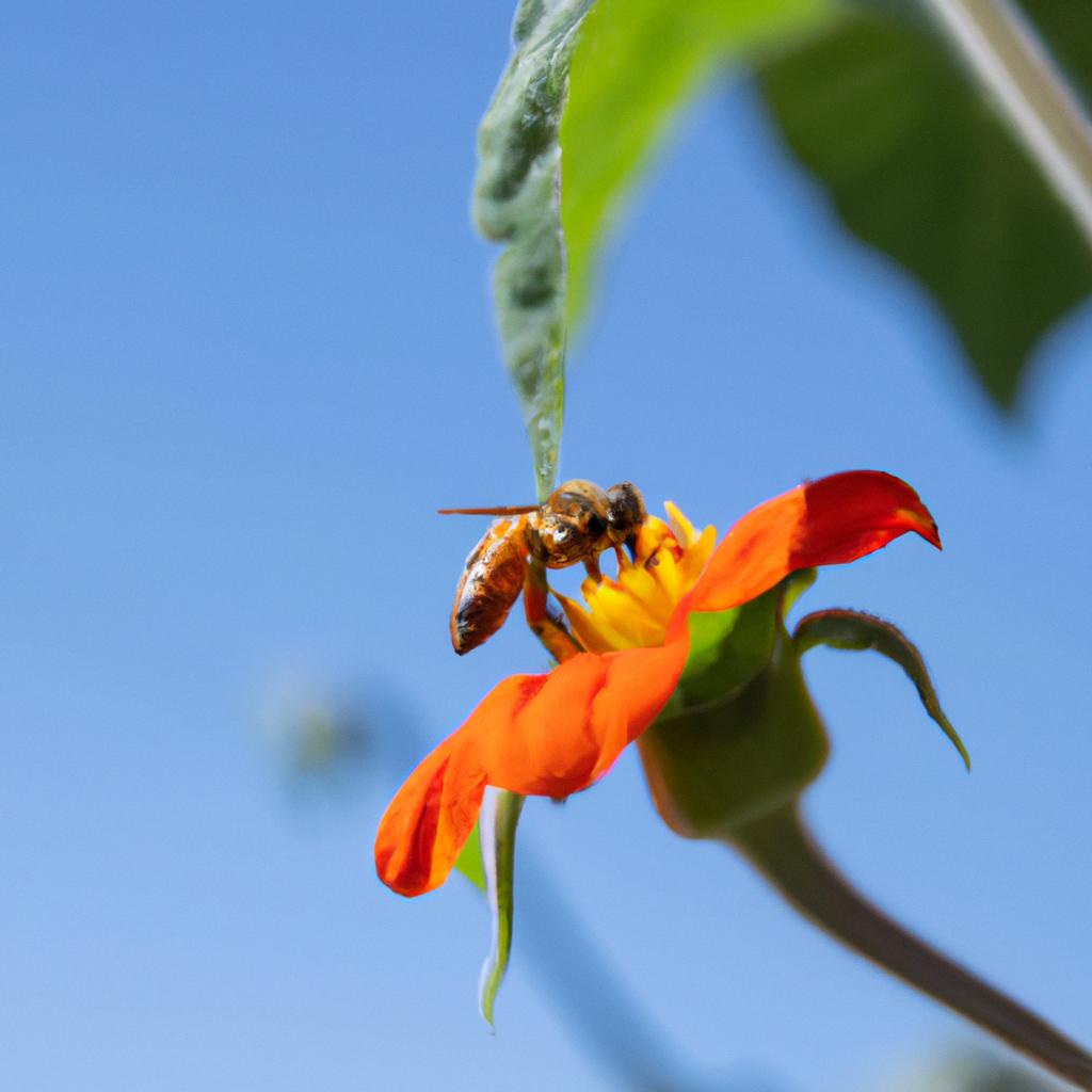 Los Polinizadores, Como Las Abejas Y Los Colibríes, Desempeñan Un Papel Crucial En La Reproducción De Las Plantas Y La Producción De Alimentos.